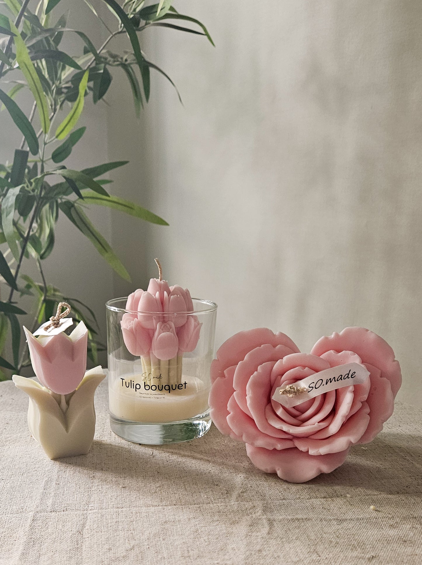 ROSA