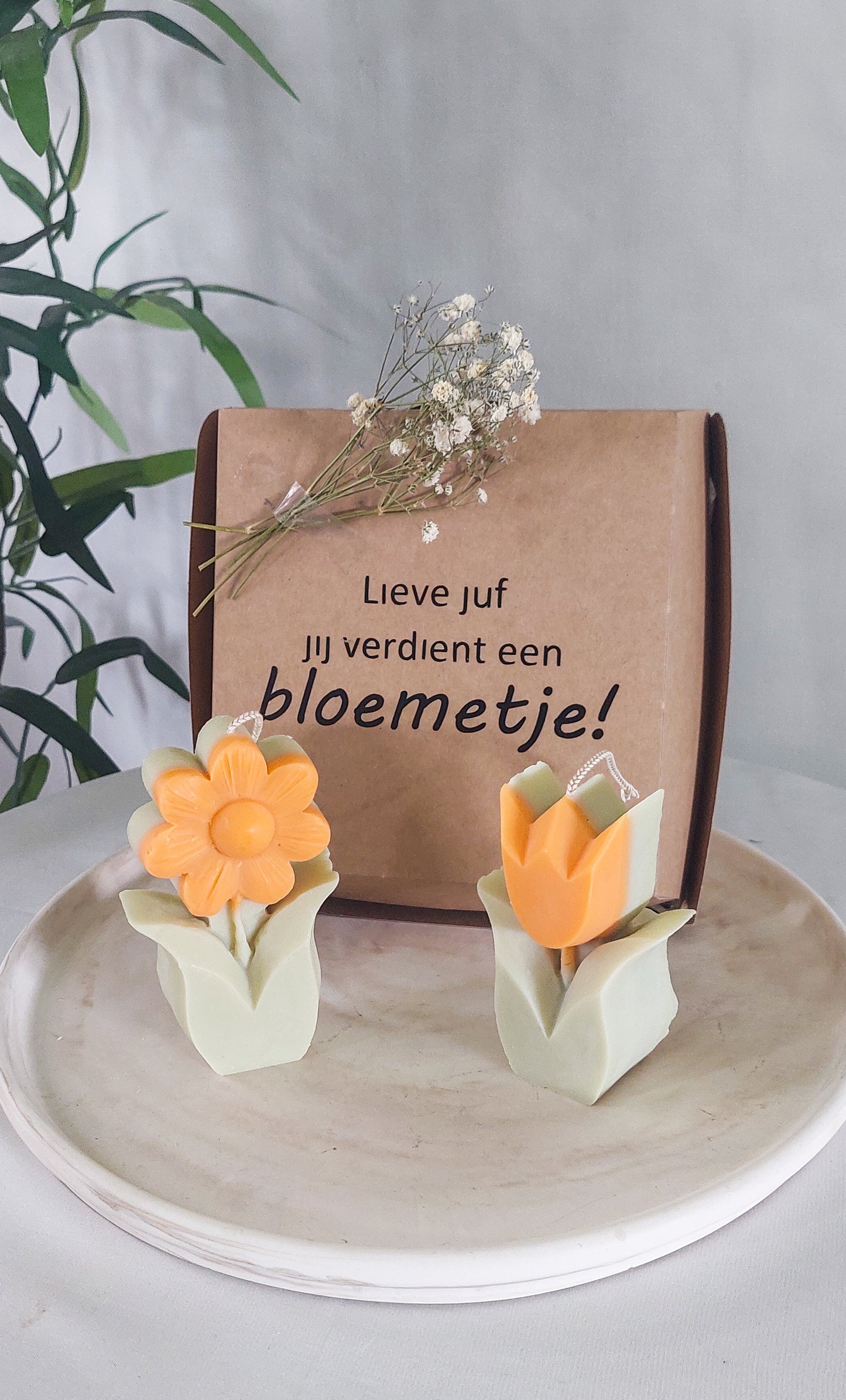 JUF VERDIENT EEN BLOEMETJE