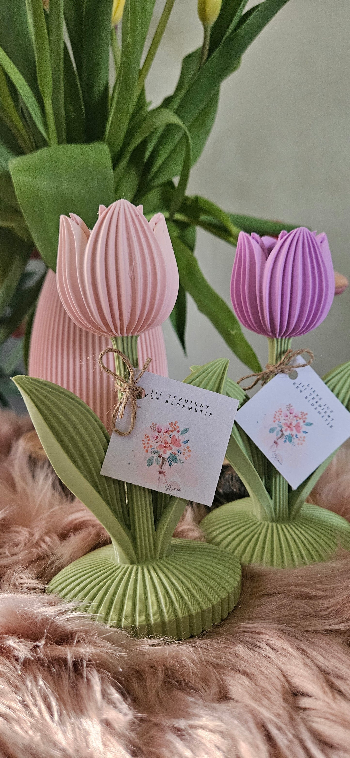 TULP