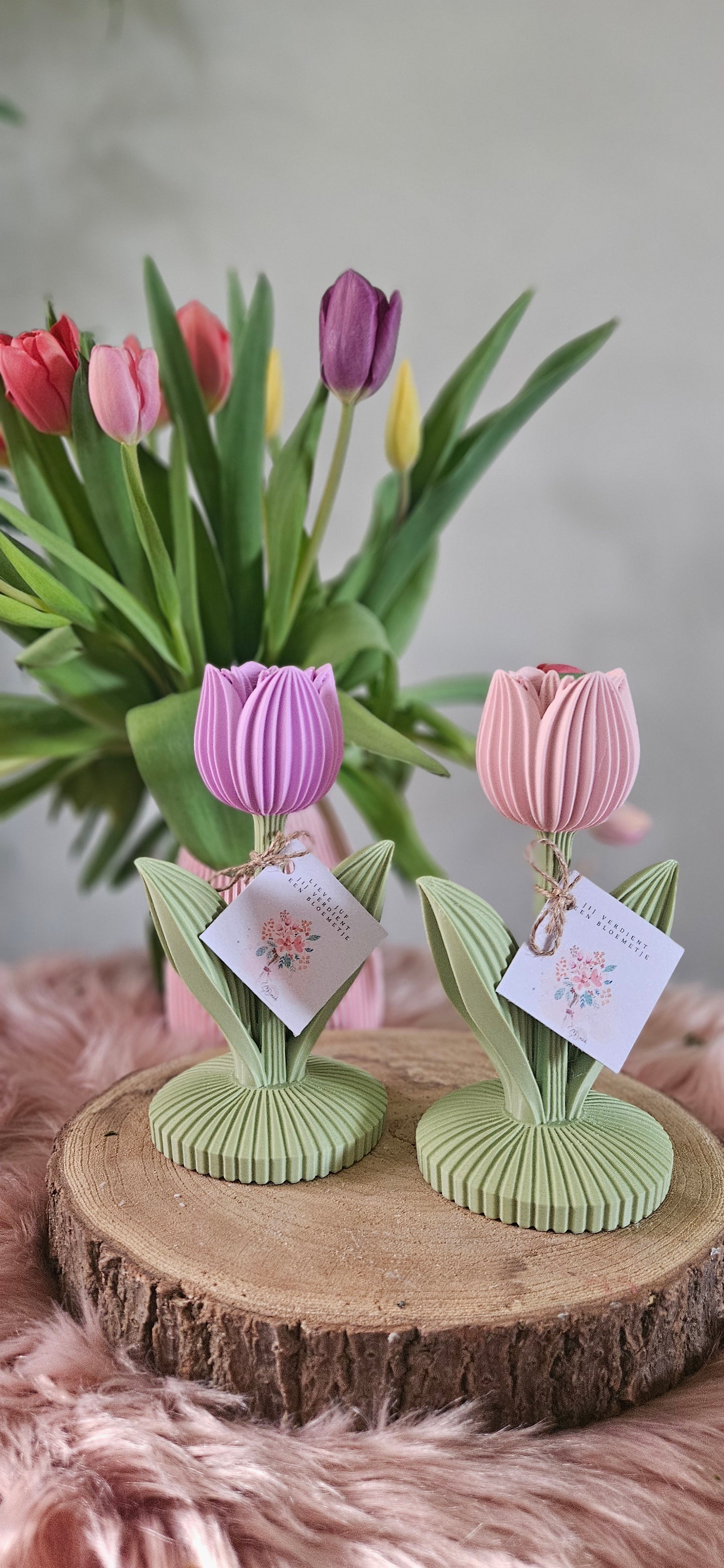 TULP