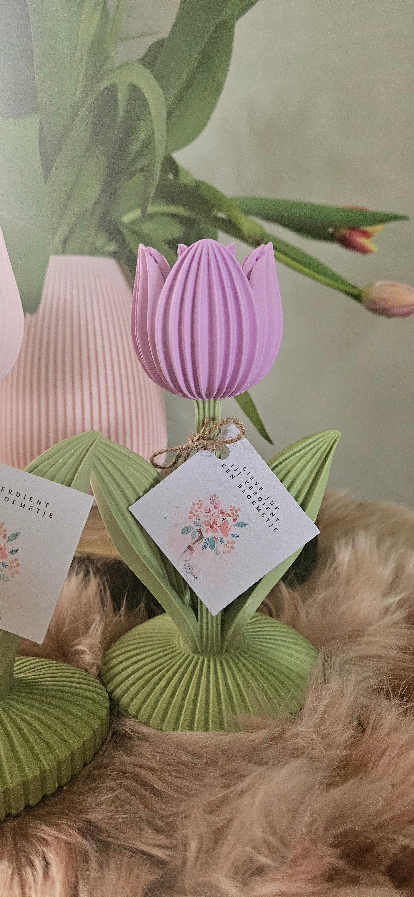 TULP