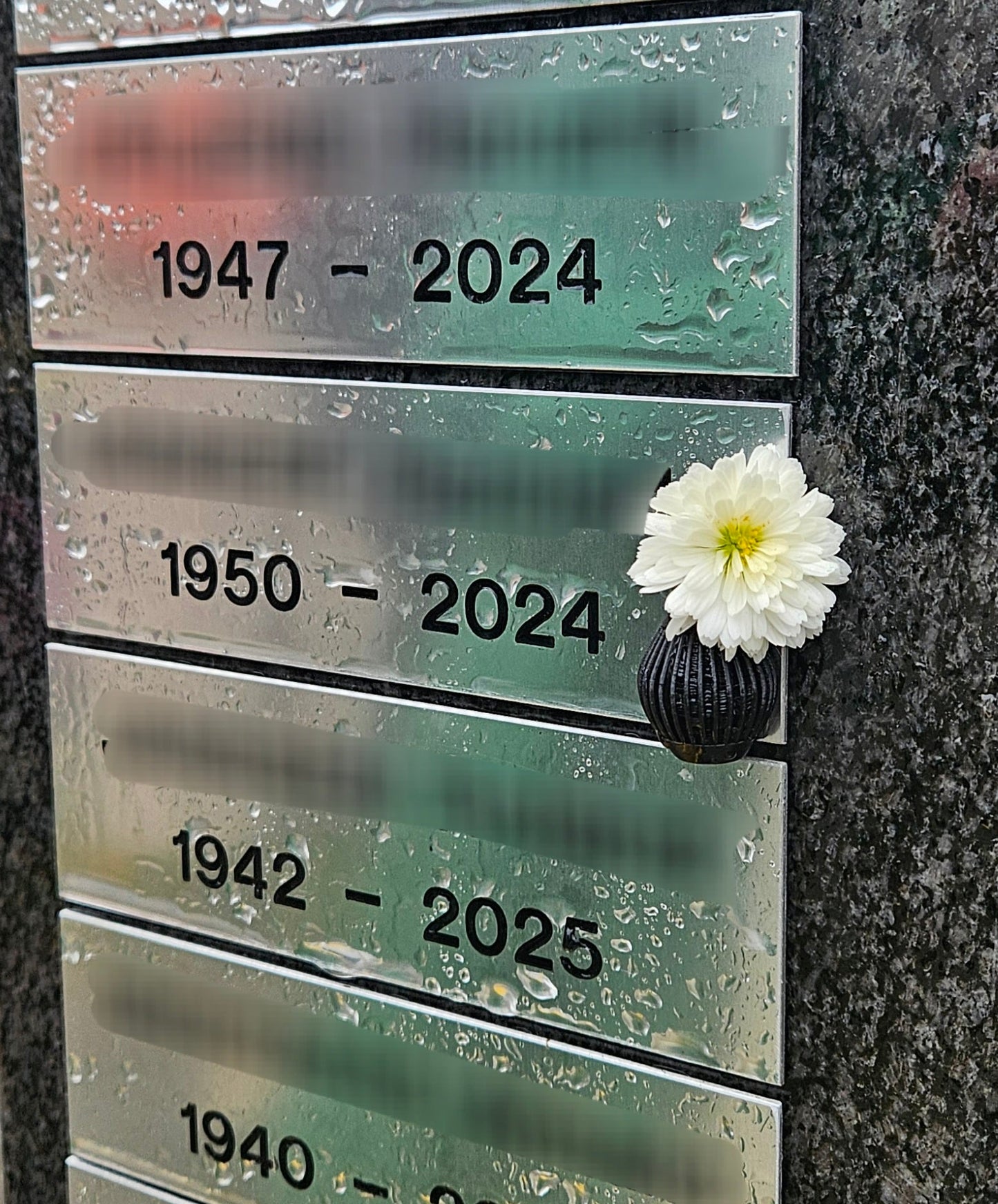 PLAKVAASJES